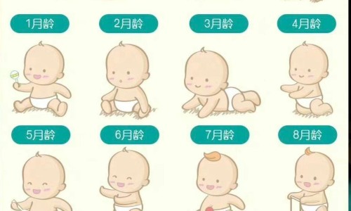 小儿迪巧钙-儿童补钙迪巧图片-专业儿童迪巧钙片一盒多少钱平台-迪巧儿童钙片补钙